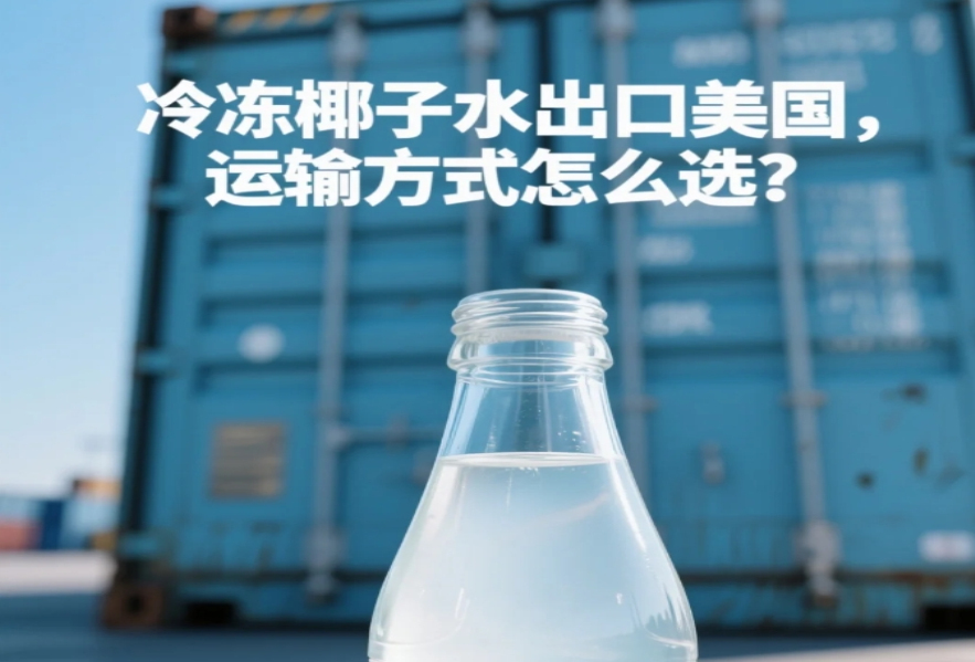 拼柜vs整柜：冷凍椰子水出口美國怎么選？